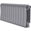 Photo Royal Thermo Infinity 300 Silver Satin Bimetallic radiator, 12 sections [Code number: RTISS30012]