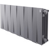 Photo Royal Thermo PianoForte 300 Silver Bimetallic radiator, 12 sections [Code number: RTPS3030012]