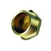 Photo IBP Threaded brass adapters Male Plug with Collar, d 1" [Code number: 8292 008000000]